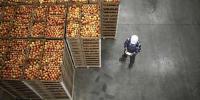 Government called on to strengthen food supply chain resilience to shocks