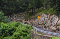 National Guard members tackle Hudson Highlands in Danish endurance march