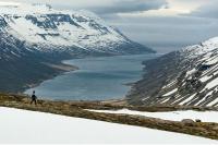Mjóifjörður Cut Off From Mobile and Internet Service After Fibre Breaks