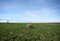 Steven Roberts: Why farmers are fuming