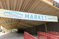 Downtown Ocala’s 3rd Annual Taste of the Town supports Estella Byrd Whitman Community Health Center