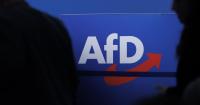 The European map of parties similar to AfD: allies and what differentiates them from Vox and Le Pen