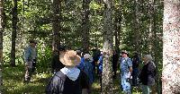 Cass SWCD to host third annual Woodlands for Wildlife Event