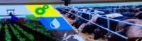 Ethiopia’s Livestock Export Generates 128.3 Million USD