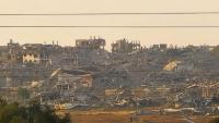 Gaza activist flees Hamas, seeks peace with Israel