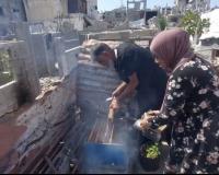 One Hive Survived the War. In Gaza, It Became a Symbol of Hope.