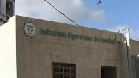 Algerian football chiefs name Hemdani to replace Petkovic as head coach