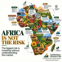 Before You Call Investing In Africa Risky, Understand The Market