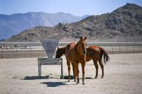 Federal government moves to seize suspected cartel leader’s Hemet ranch