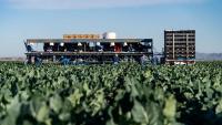 Grijalva bill mandates overtime pay for farm workers in Arizona, U.S.