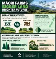 #economy: Whenua With Scale: Māori Farms 2.5 Times Larger and Carry Far More Forest and Native Bush