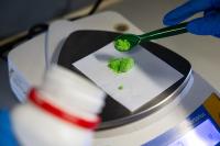 A Supplier Test on a Different Product Triggered This Nationwide Moringa Powder Recall Before Anyone Fell Ill