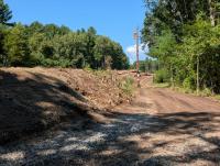 Clear-Cutting in Hopkinton Forest Worries Neighbors, Town Officials