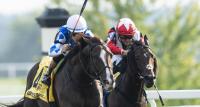 Gaffalione rides Caroline St. Beat to Nashville Derby win