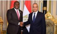 Egypt, Guinea Discuss Boosting Economic, Investment Ties in Cairo