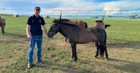 From marathons to the Mongol Derby, vet goes the distance for animal welfare