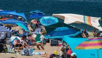 Tourists refuse to flee as apex predators reclaim a beloved summer retreat