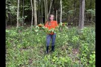 Michigan invasive species grant program opens 2026 proposal cycle