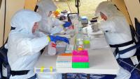 UNM researchers test animals for hantavirus in Taos