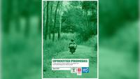 Carbon Credit Project In Sierra Leone Raises Concerns Over Land Rights And Local Livelihoods – Report