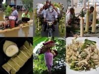 Food Uses of Banana Tree in Cambodia