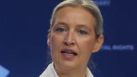 The AfD’s Rise In German Politics – Analysis