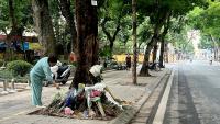 ‘Tree 55’ tragedy sparks Gen Z protests against cover-up in Vietnam