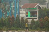 'Slumping' South Korean corals worry divers, scientists studying climate change
