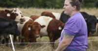 Worried about rising beef prices? WA farmers say, share a cow