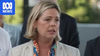 Sydney mother challenges Liberal seat following son's hospital death
