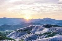 Climate tech: the readiness gap accountants need to close