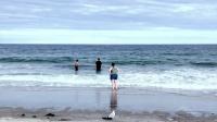 Officials: New Hampshire ocean rescues declined in 2026