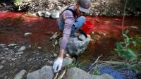 Utah project to address native fish in Mill Creek sparks online controversy