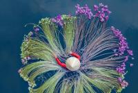 Sustainability data needs financial-grade controls