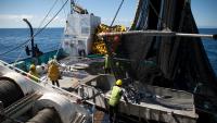 Commercial fishing contributes $2.45b to New Zealand economy, report finds
