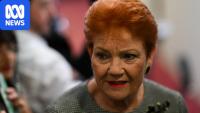 'Economically disastrous': One Nation's early access super scheme slammed
