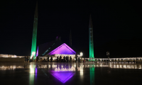 Evocative art exhibit invites introspection