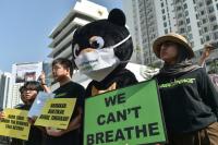 Indonesia vows to work with ASEAN members on haze
