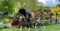 Top Dorset venue launches new Japanese-themed garden