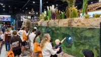 From ‘real’ snow to live fishing, Anaconda’s flagship store shows rise of experiential retail