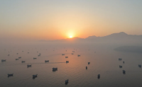 Iran to announce new shipping route in Hormuz