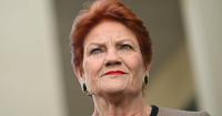 'Economically disastrous': Hanson's super policy panned