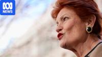 'Economically disastrous': One Nation's early access super scheme slammed