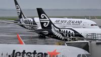Air New Zealand has not asked to stop regional routes or get subsidies, minister says, but is it too powerful?