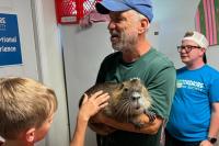 Louisiana's viral pet nutria, Neuty, dies peacefully after family's petition drew thousands