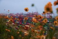 China’s export growth seen accelerating in August: Reuters poll