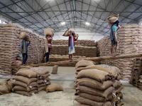 Overseas rice buyers look directly to India amid sourcing reassessment: BIRC survey