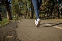 Consistent daily movement yields the highest long-term health benefits