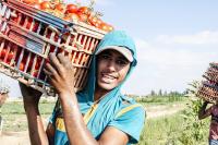 Making agrifood systems work for youth