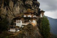Bhutan achieves what few countries have: WHO validates elimination of dog-transmitted Rabies